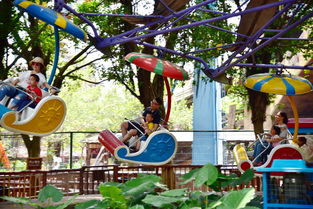 3.3 住宿区域分布