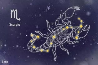 哪个星座以心狠手辣著称，擅长完成大事业？