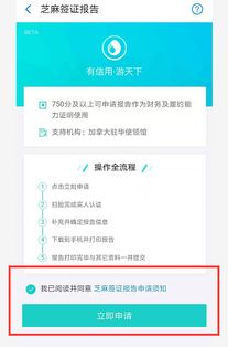 二、 线上支付实战：从登录到付款，全程“卡顿”指南