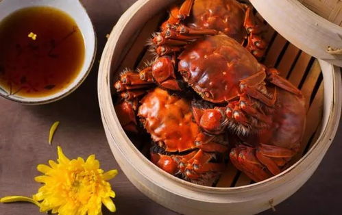 如何辨别真假阳澄湖大闸蟹？