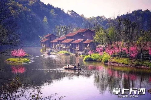 那条叫零河的洗菜池