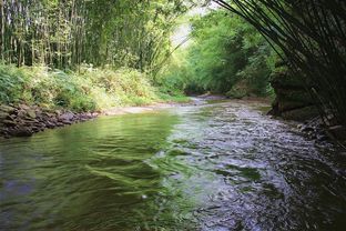 重庆夏日漂流圣地？我看是宰客天堂！