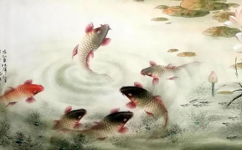 锦鲤画挂在家中哪里合适,画锦鲤有什么忌讳