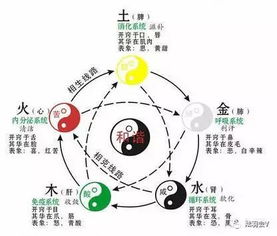 浑天度五行分金具体如何运用？其五行作用和用法有哪些细节？