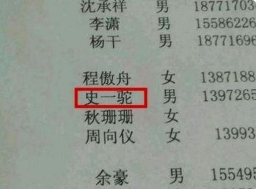 2025年诞生宝宝，较高姓潘姓父母，名字中应当用哪个字？