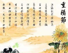 重阳节传说：登高赏菊，祈福长寿，古风传承，爆款节日！