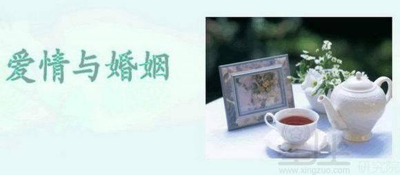专一与更多沉重恋情：一场错位的游戏