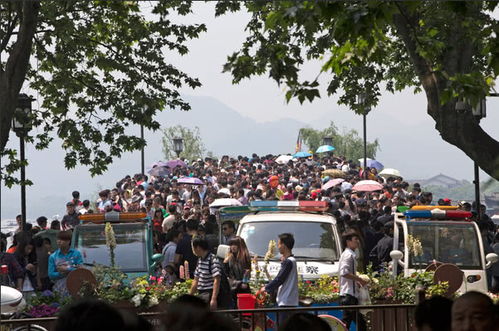 如何抢到那张梦寐以求的免费门票？！（我的攻略来了！）