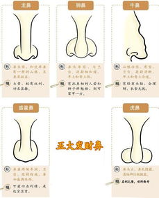 1.2 噪音插播——别忘了喝水！
