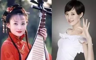 天界996打工人の人间体验卡