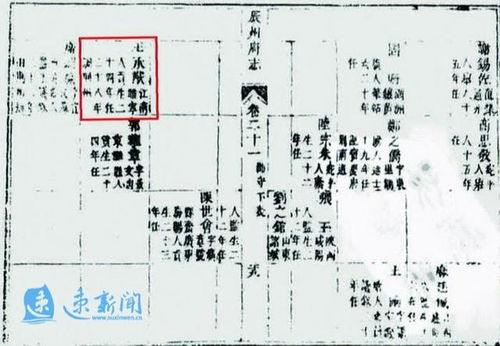 时尚命名法则解析