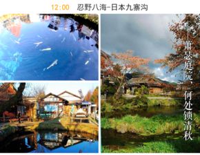 一、 初探长鹿：攻略目录一览