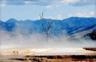 絮语：为啥要来璧山？