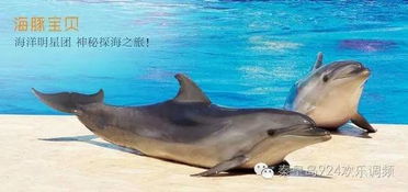 秦皇岛野生动物园：动物们的自由和我的拍照技术