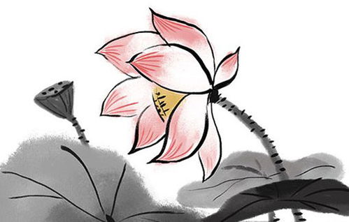 薏在取名中寓意吉祥吗？这个名字是否吉利？