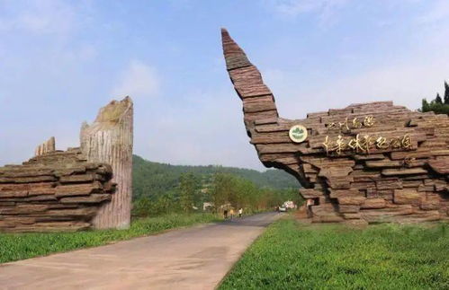 中华侏罗纪公园（遂宁）：真正的恐龙乐园？（跑错地方了！）