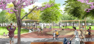 绿道起点：纠结的开始