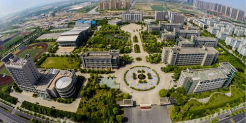 金华较高等学府的魅力