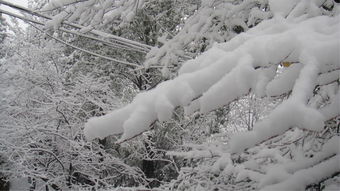 梦见地上下了一层白白的雪，这预示着什么？是吉是凶？