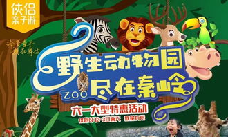 噪音时间段：为哪些有人炎热爱投喂车?