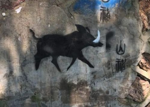 记忆的碎片