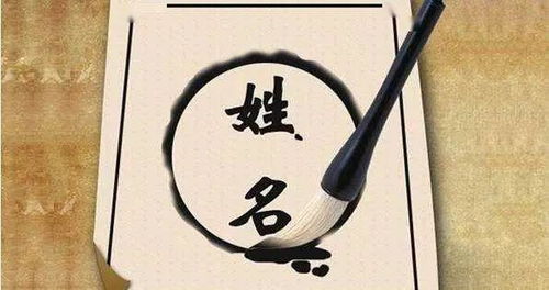 崭新 字解析: 崭新生与希望