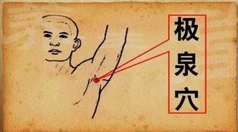 手相学中的“君臣相佐”