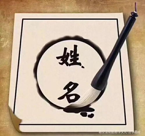 张姓崛起：家族基因背后的故事 (或者只是个故事…)