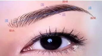 这根毛到底想干嘛？