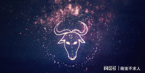 生活态度：务实与梦想