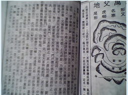 生肖星座风水类