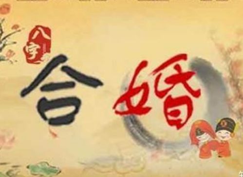 如何通过八字合与不合来算命？八字中的争合究竟是什么意思？