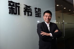 深圳企业家风水第一人饶志辉是谁？