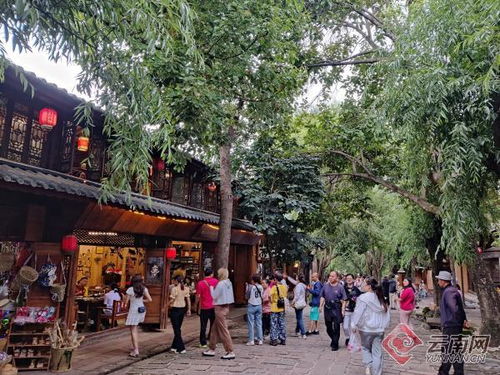 沙溪古镇旅行业的兴起与挑战