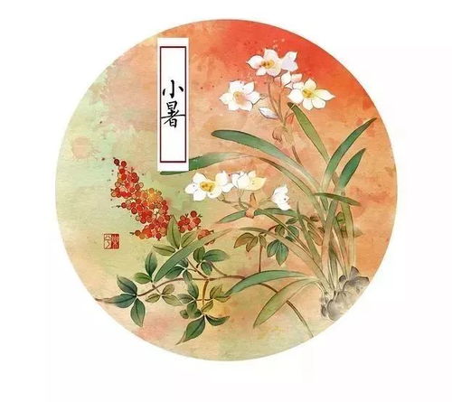 “小暑传统习俗，夏日爆款风情盘点”