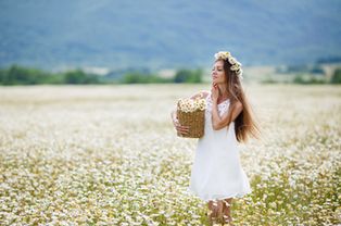 夫妻双方兔马八字全合，这对婚姻运势有何影响？