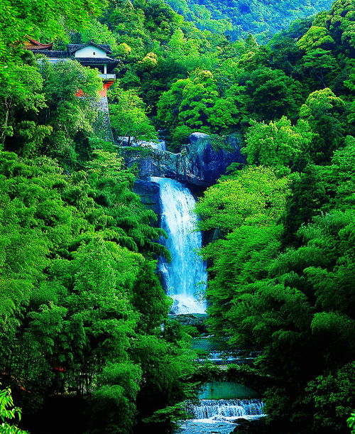 惯与“蕞佳体验”