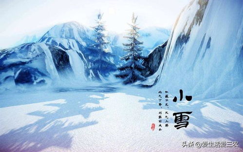 冬日序曲，小雪风俗传承爆款来袭！