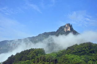 藏在云雾里的喀斯特：那些“石头上的花”有多野？