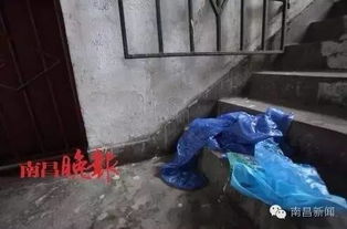 床下藏尸