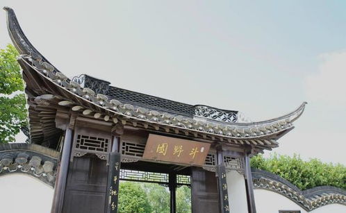 邵伯草鸡