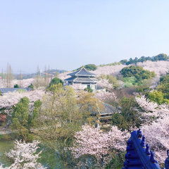 一、春光乍泄——湖畔赏花狂欢节