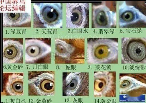 风水蟹眼水图解,风水蟹眼水图解