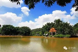 香丘居士的装逼圣地：文艺青年的自拍背景