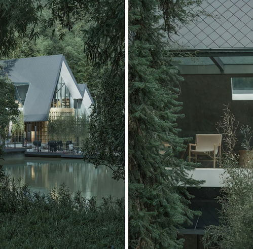 避雷针指南：如何在玻璃江湖活下来