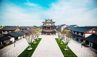 西溪景区：风景倒是还行