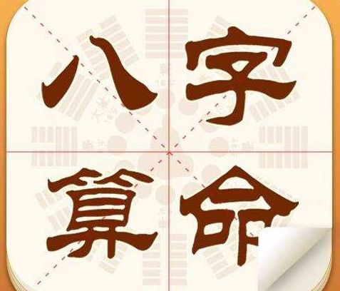 八字中地支包括哪几个字？若有两个地支相同，如何改写为？