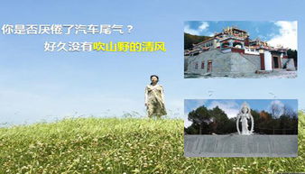 驴妈妈门票省钱大法！看完这篇你绝对会尖叫！！