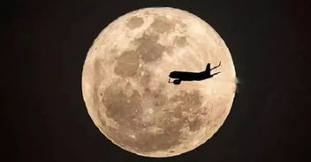 覆灯火是哪一年生肖？重见天日的三大生肖指的是什么生肖？