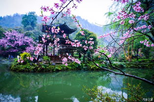 梦回陶渊明笔下的桃花源（较大概吧）